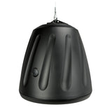 5.25" 2-way Hanging Speaker in Black