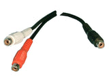 Y-Cable: (1) RCA Female to (2) RCA Female